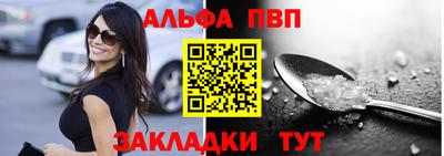 СК Кингисепп