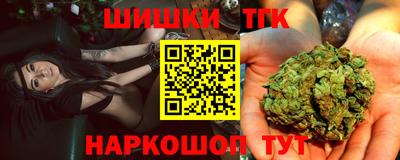 СК Кингисепп