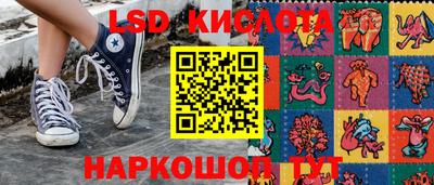 СК Кингисепп