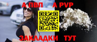 СК Кингисепп