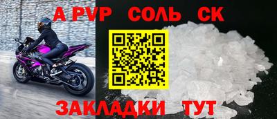 СК Кингисепп