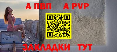 СК Кингисепп